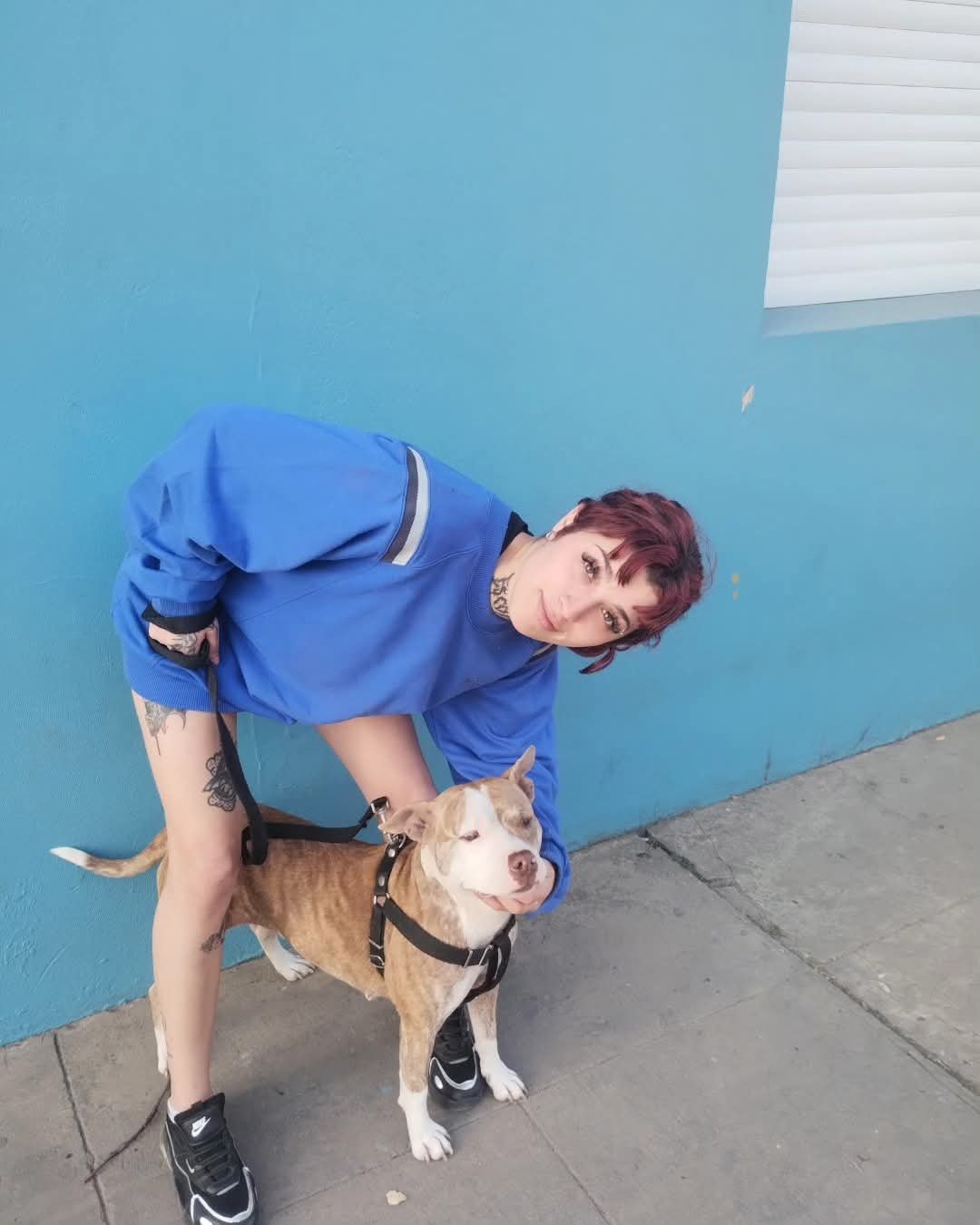 Turrita Argentina fisura se pajea y hace twerk sobre pija #9CBOLqam